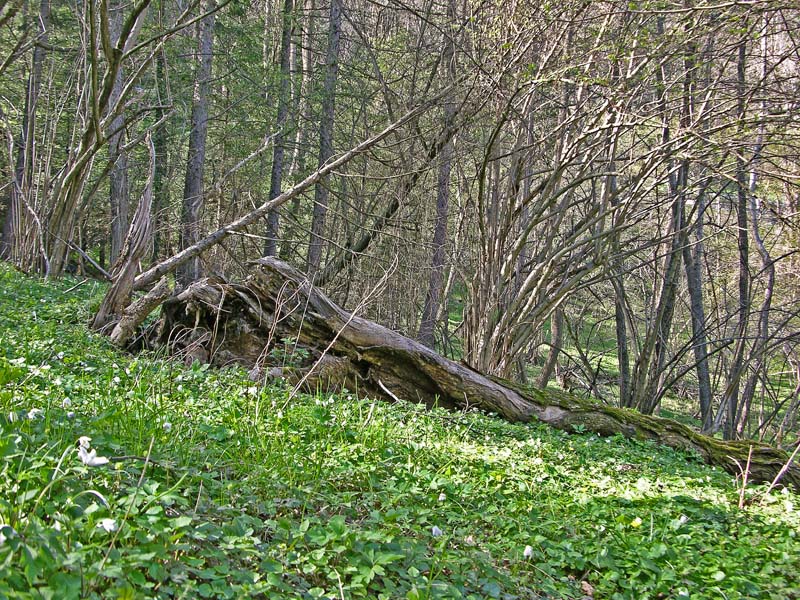Ritrovamenti, mercoledi 10 aprile.